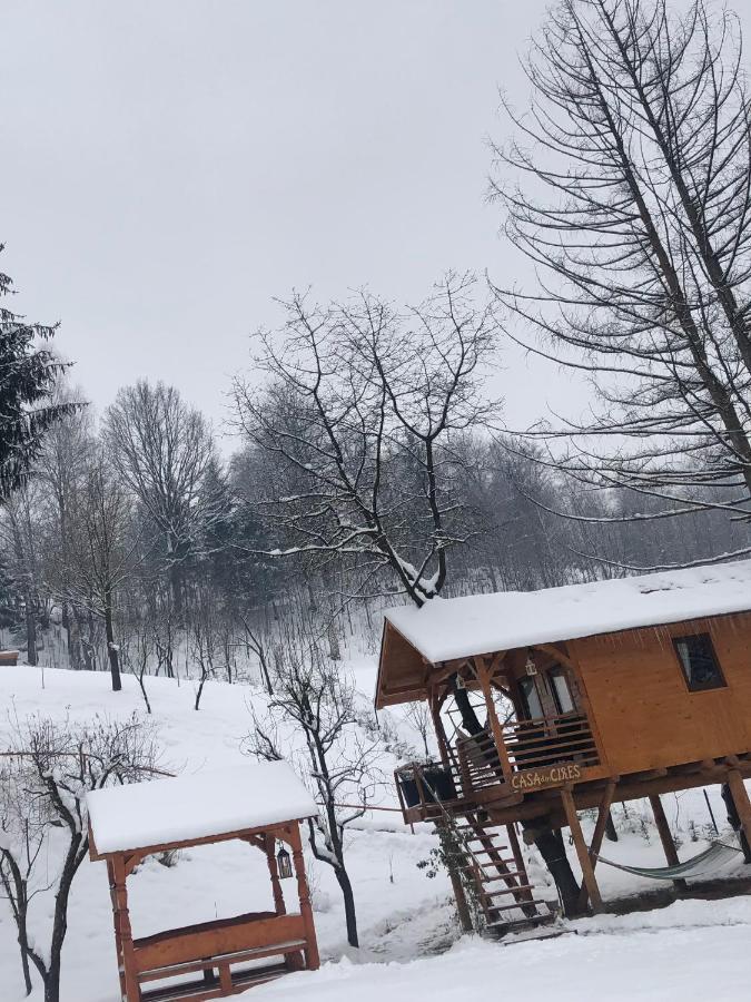 Domeniul Horj Casa Din Cires Moisei Villa Екстериор снимка