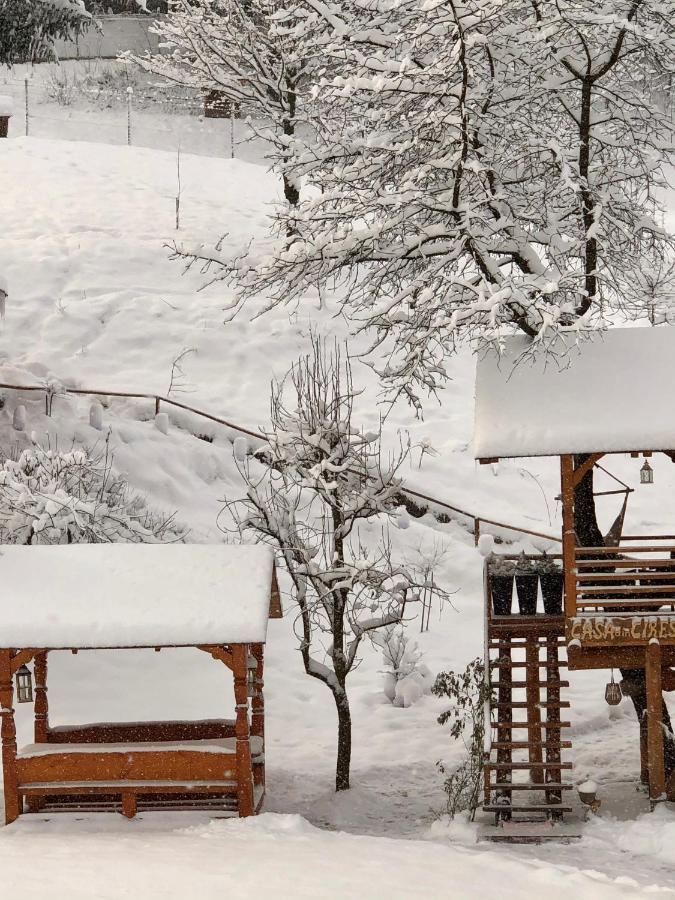 Domeniul Horj Casa Din Cires Moisei Villa Екстериор снимка