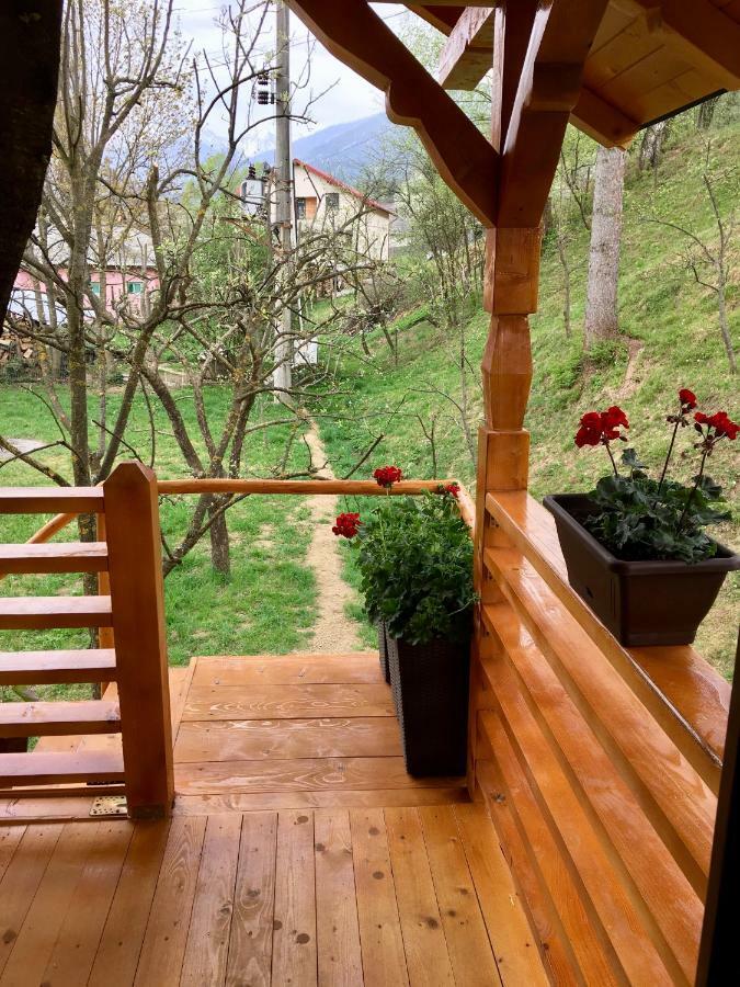 Domeniul Horj Casa Din Cires Moisei Villa Екстериор снимка