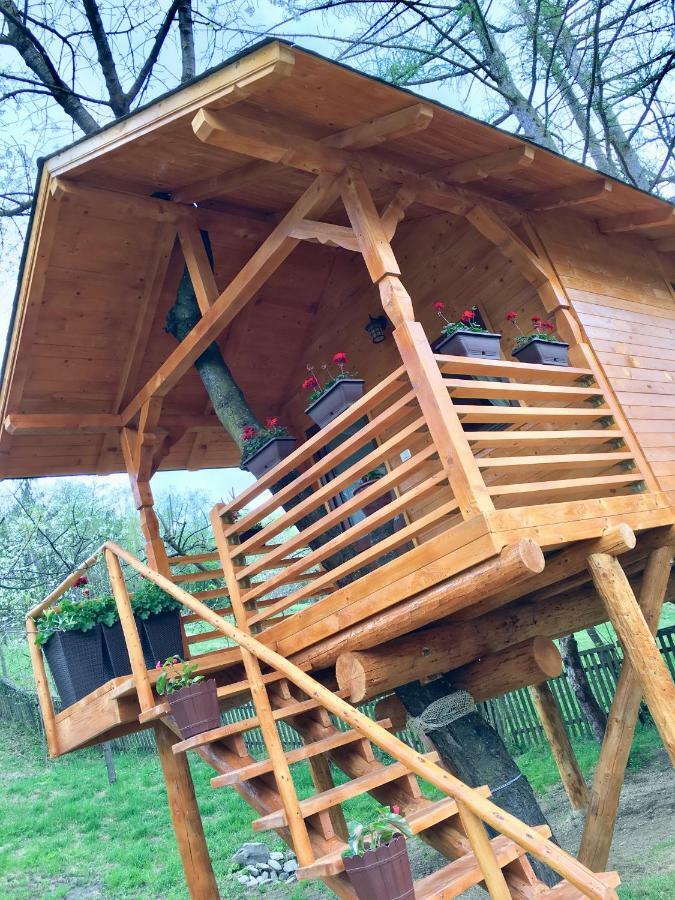Domeniul Horj Casa Din Cires Moisei Villa Екстериор снимка