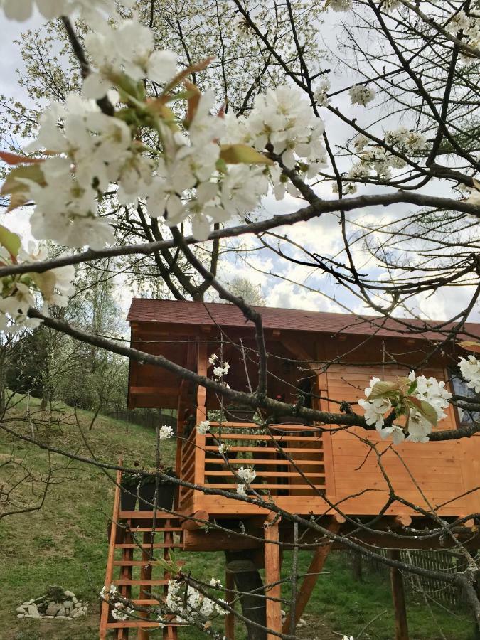Domeniul Horj Casa Din Cires Moisei Villa Екстериор снимка